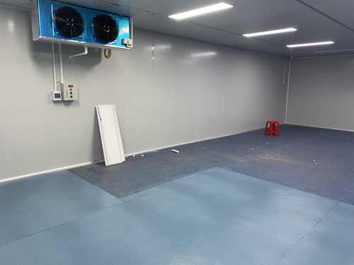 無塵車間小黄片免费入口工程放靜電